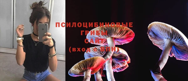 мескалин Мегион