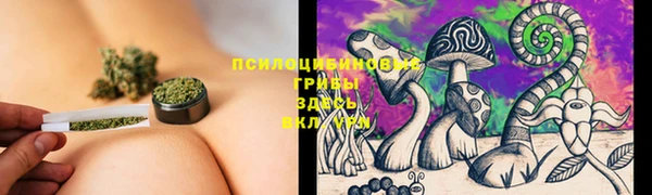 амф Медногорск