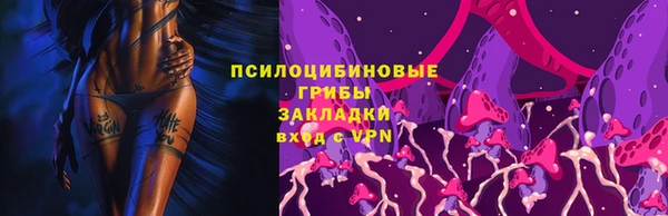 амф Медногорск