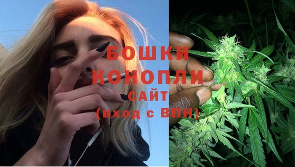 амф Медногорск
