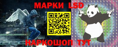 индика Абинск