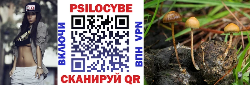 Псилоцибиновые грибы мухоморы  Купить закладки  Ангарск 