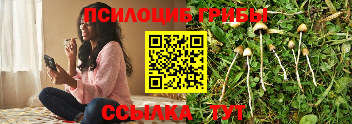 Псилоцибиновые грибы Magic Shrooms  Вход с VPN  Ангарск 